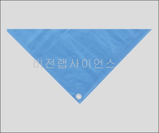 블루시트,BLUE SHEET