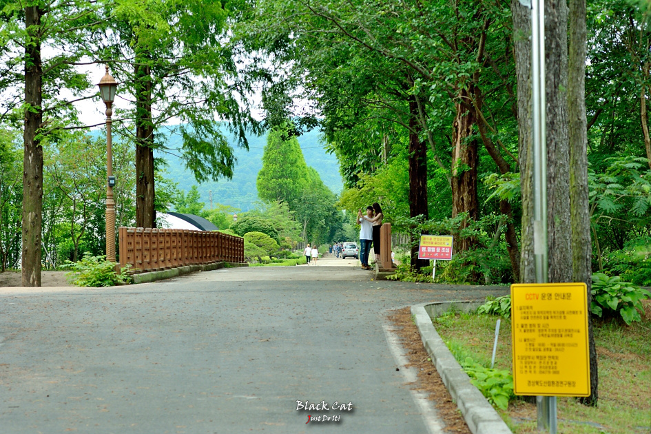 그대에게(Loop 130)-경주 경북산림환경연구원