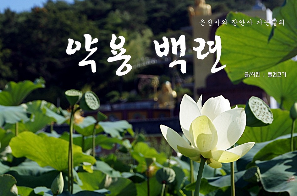 은진사 이미지