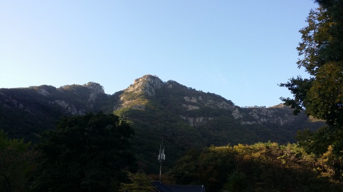 非禮勿行 를 생각하다. 
