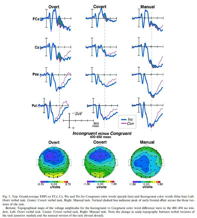 Stroop coursework 06 picture