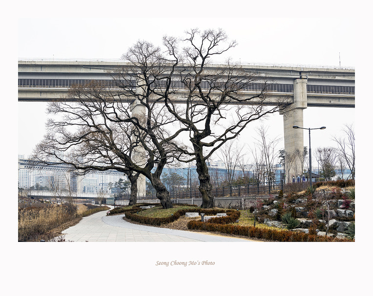 세종시의 어제와 오늘