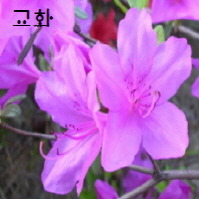 대구비슬유치원 이미지