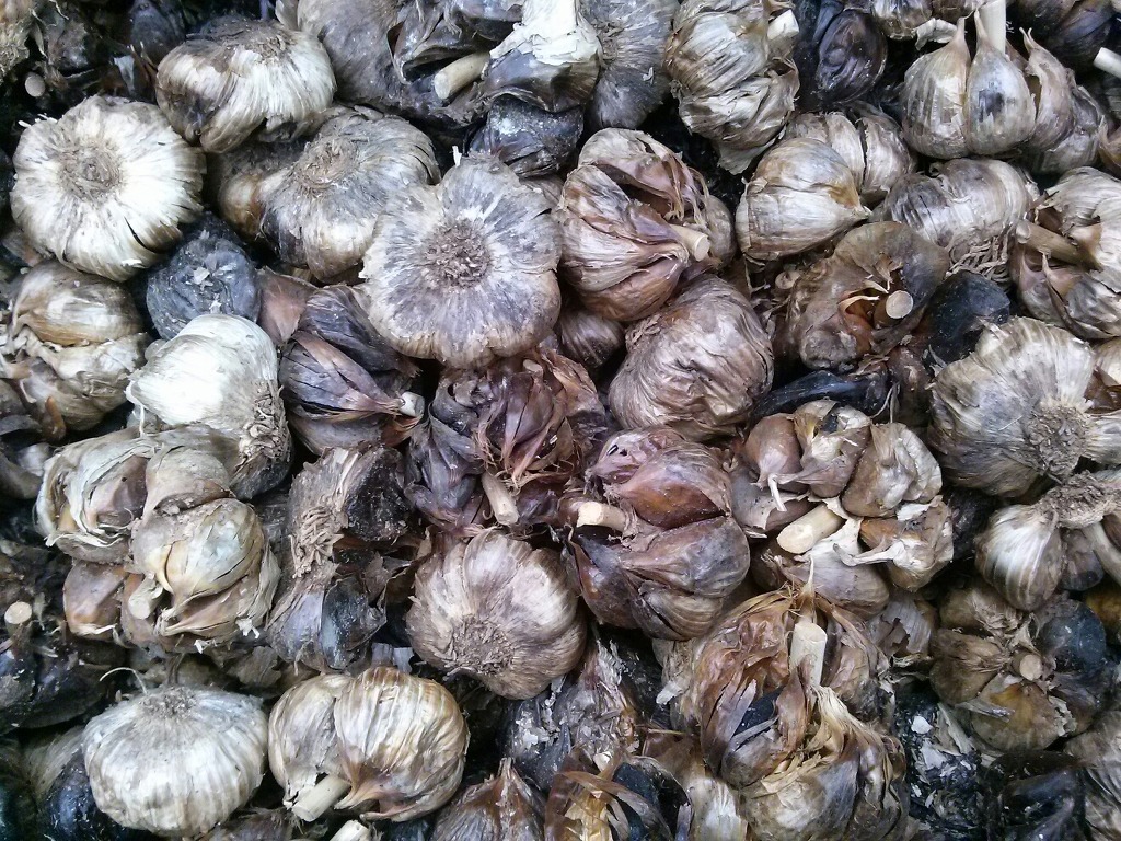 알밤ㅡ흙마늘