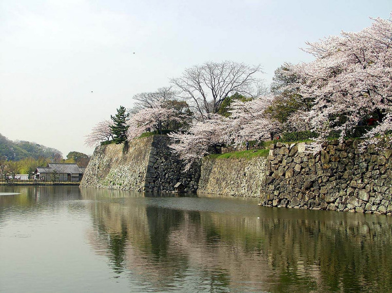 2755664B52A50E0F1A9775