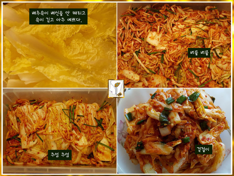 또 다른 시작