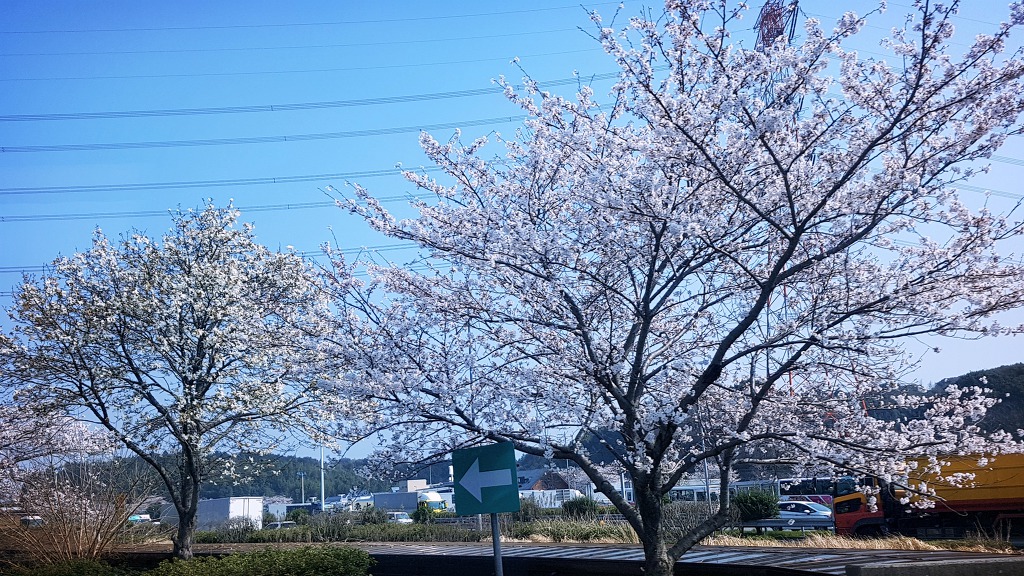 일본 남쪽 섬 규슈에 대하여...