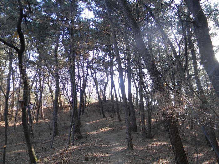 성두산에 조성된 백제시대 산성 유적, 구성동산성 (갑천)