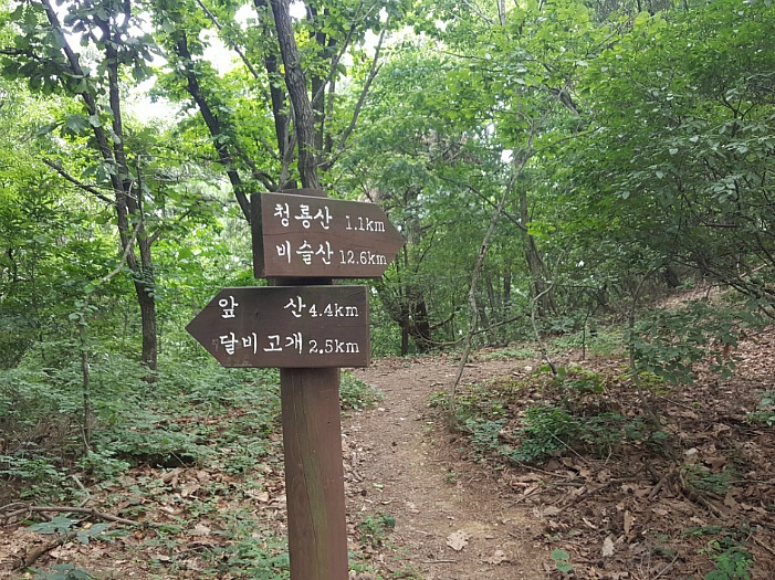 대구 시민의 휴식처 앞산올랐다가 택시타고 온 사연은? 