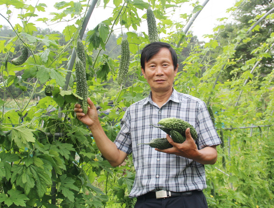 여주판매 합니다