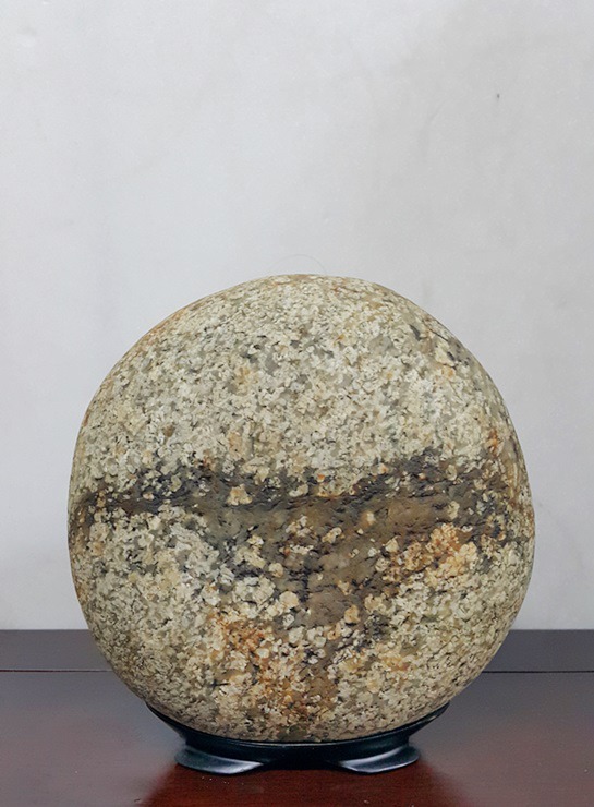대붕 ,,,