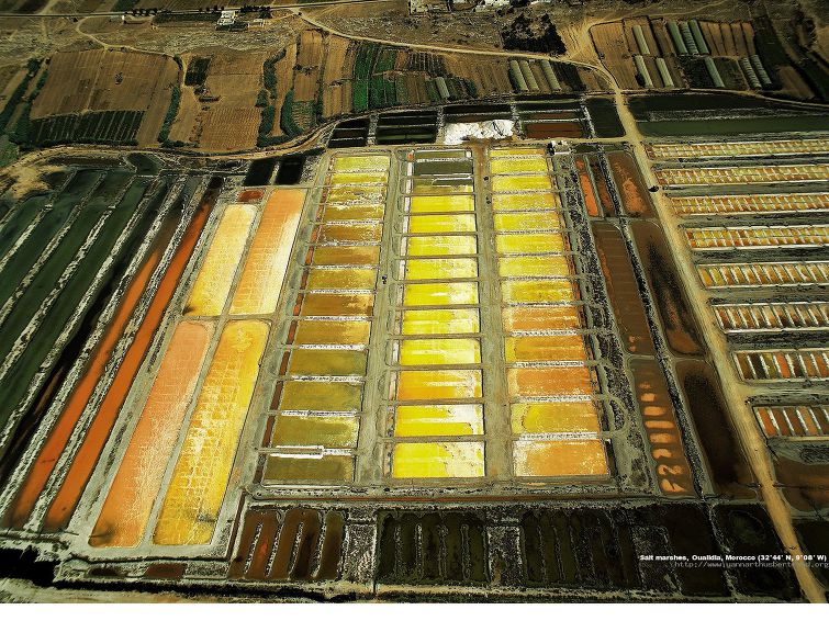 치과병원의 적정한 신고소득금액(율)은? /  예산관리_재무결산시스템 (1)