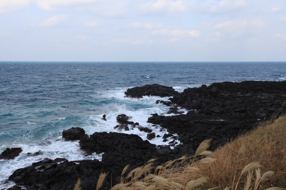 친구들과 함께 떠난 제주도 1박3일 /한라수목원/노을언덕 무인카페