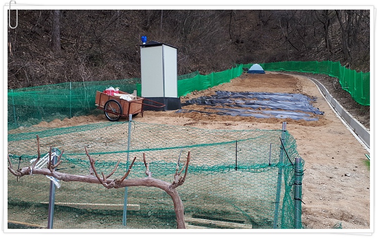 초봄[주포리]농장/풍경!!