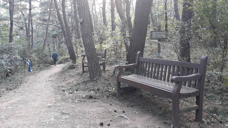 뻐꾸기 우는길