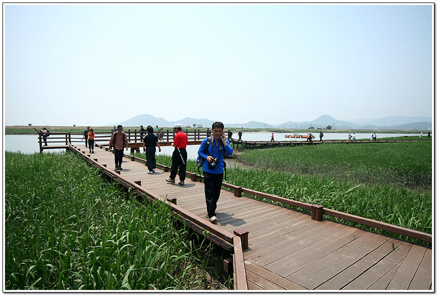 한산..순천만..2008.05.25