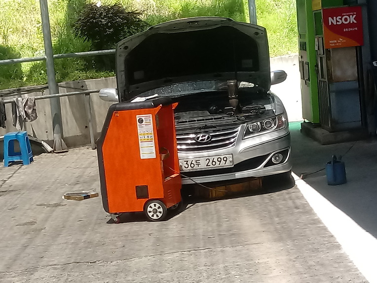 용쓴날