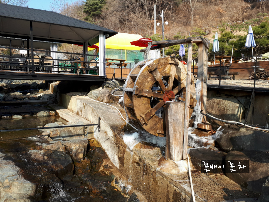 비슬산 담