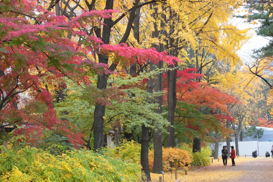 덕수궁의 가을색