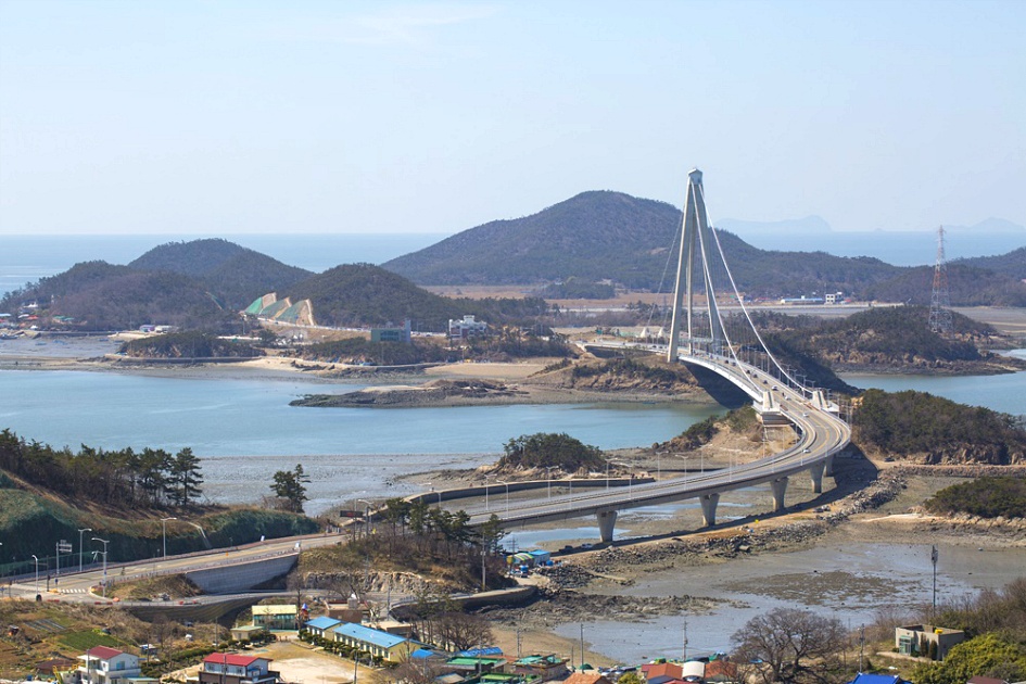 [군산] 신시도 앞산 산자고/산자고 꽃밭에서 놀다