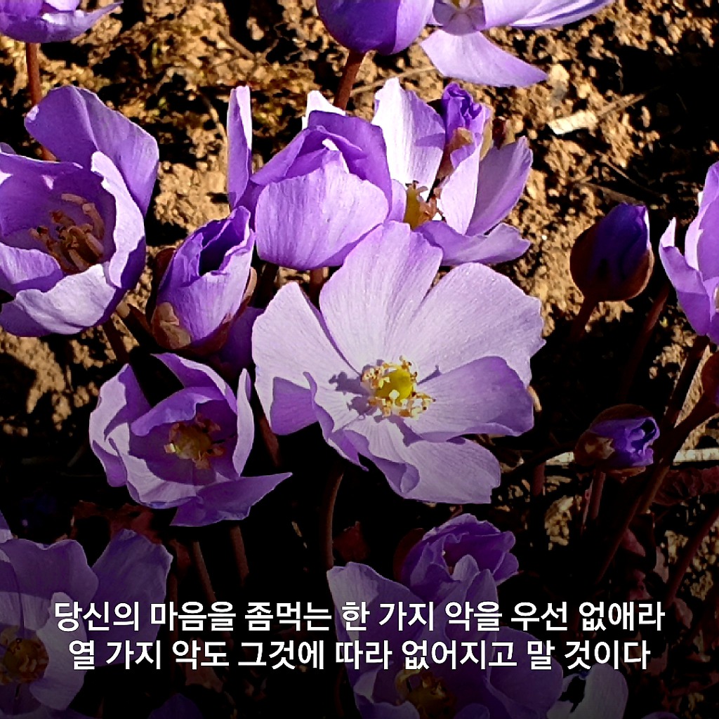 금전은 비료와 같은 것으로 