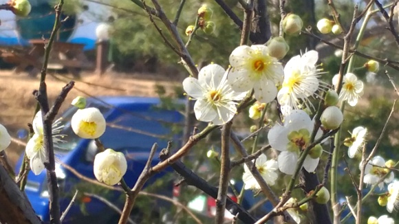 바다는 역시 겨울바다지요..(Sea is winter sea too..)ทะเลเป็นฤดูหนาวมากเกินไป