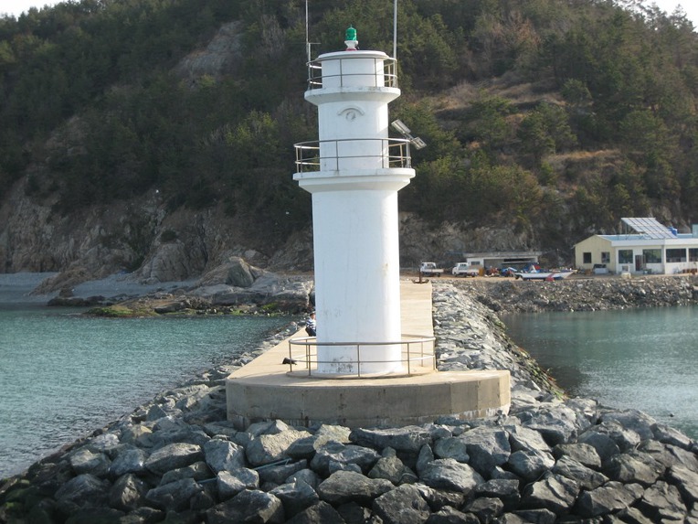 우둔한 자는 꼭 확신하고 있다.