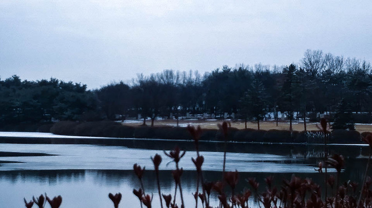 눈내린 일산호수공원