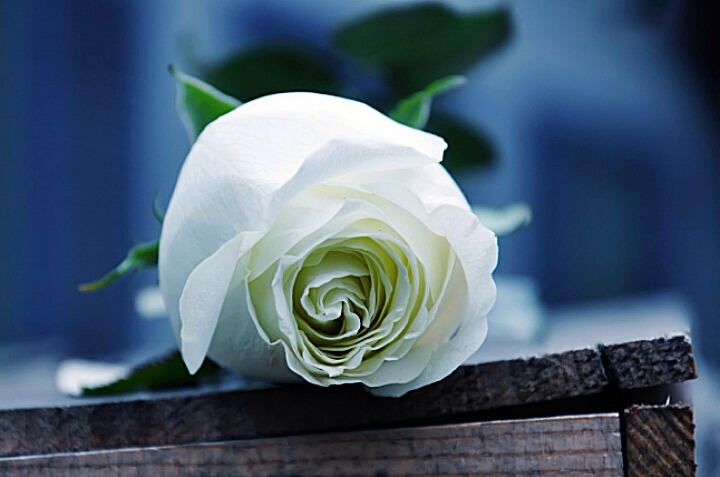 9999E6355D931153219015