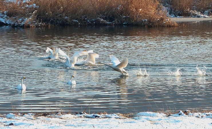 999BF7505DF701D236F0BC