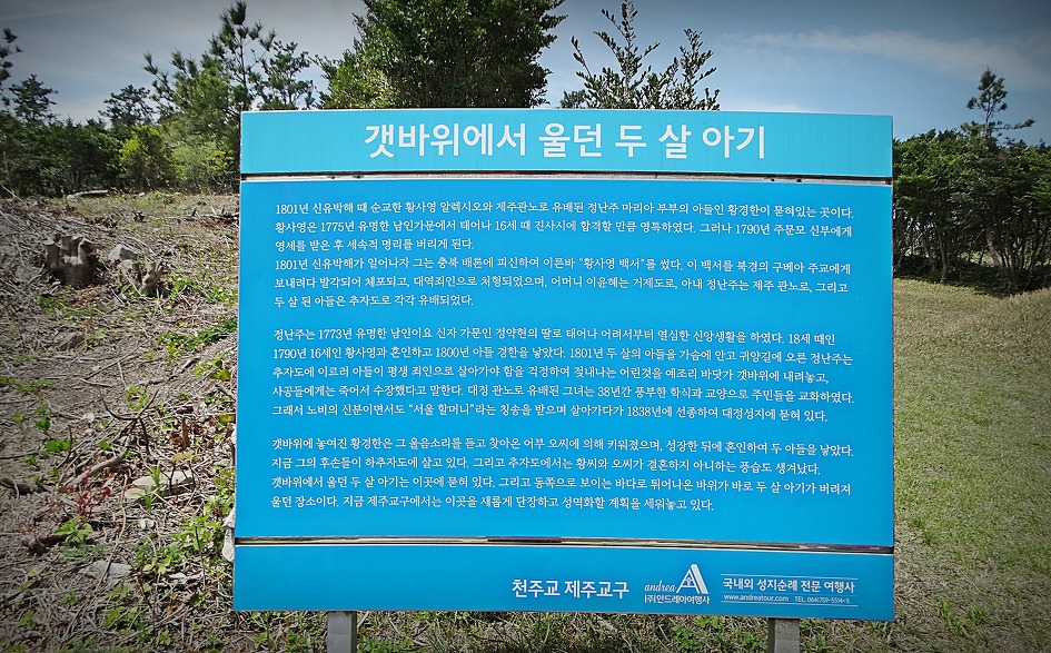 추자도 사모곡