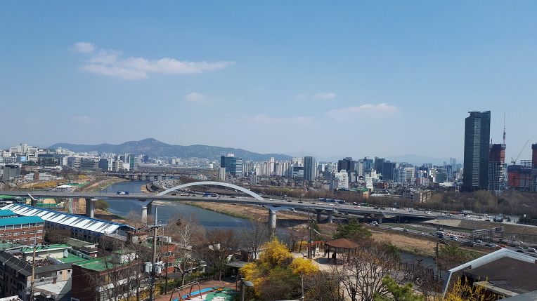 응봉산 개나리축제 한마당