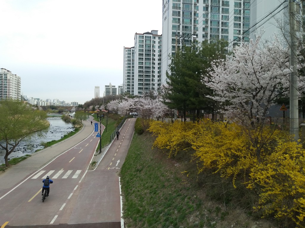 19.4.9(화)