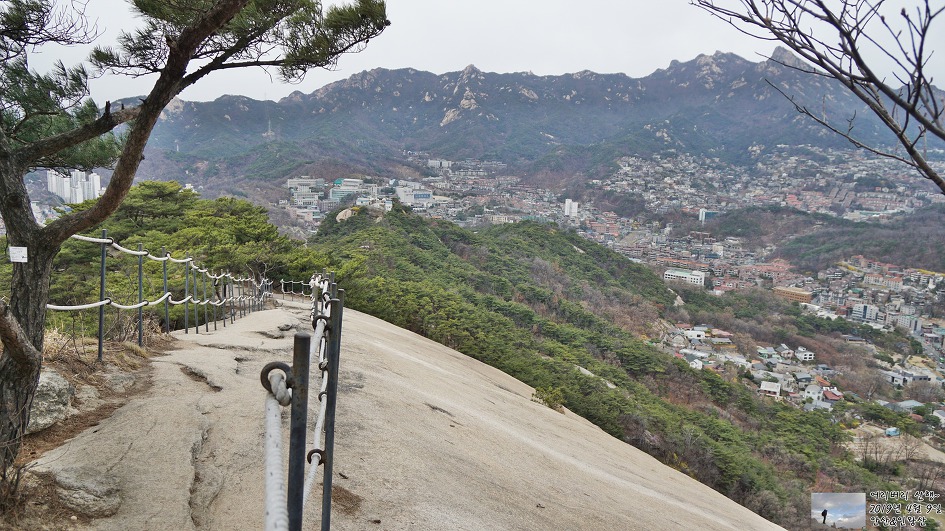 서대문,안산 & 인왕산...개나리,진달래가 흐드러지게 피어있고~