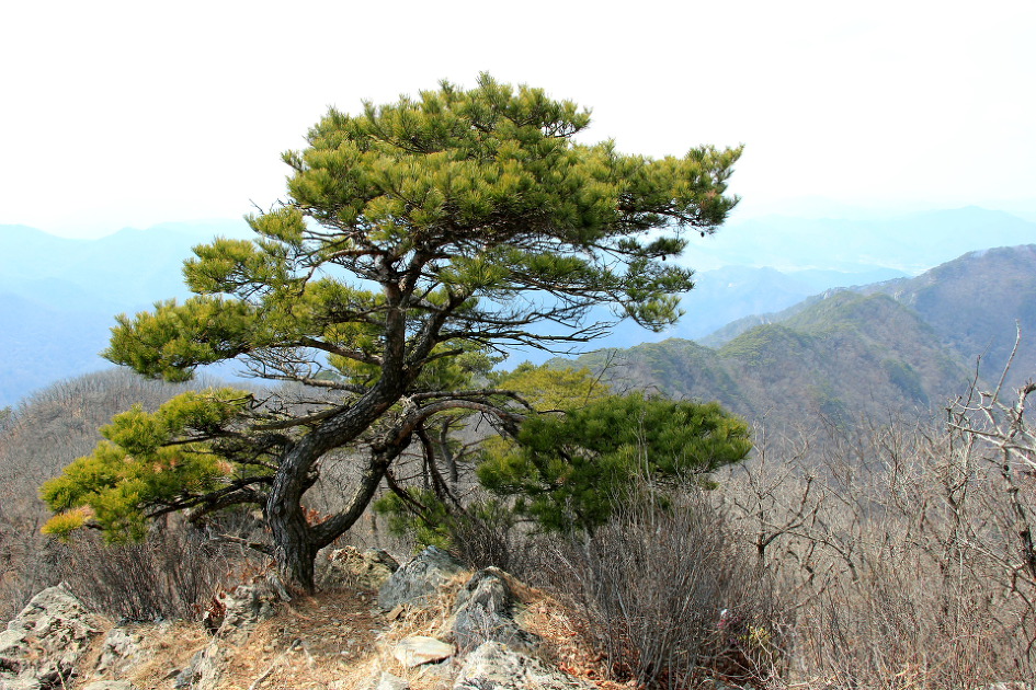 괴산 군자산 산행 (2019.3.23)