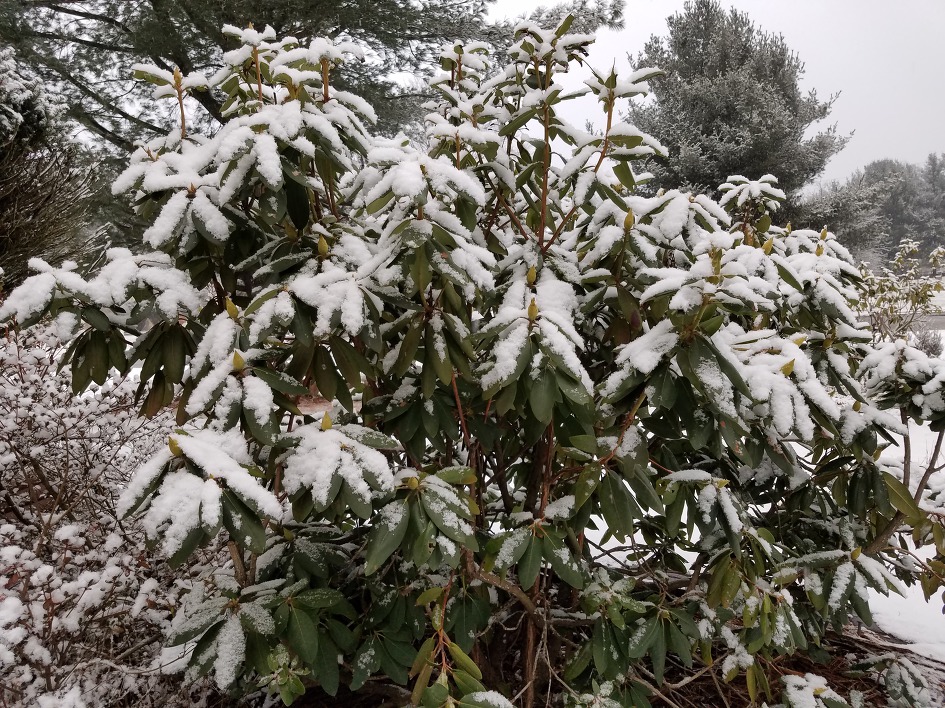 White Christmas Eve