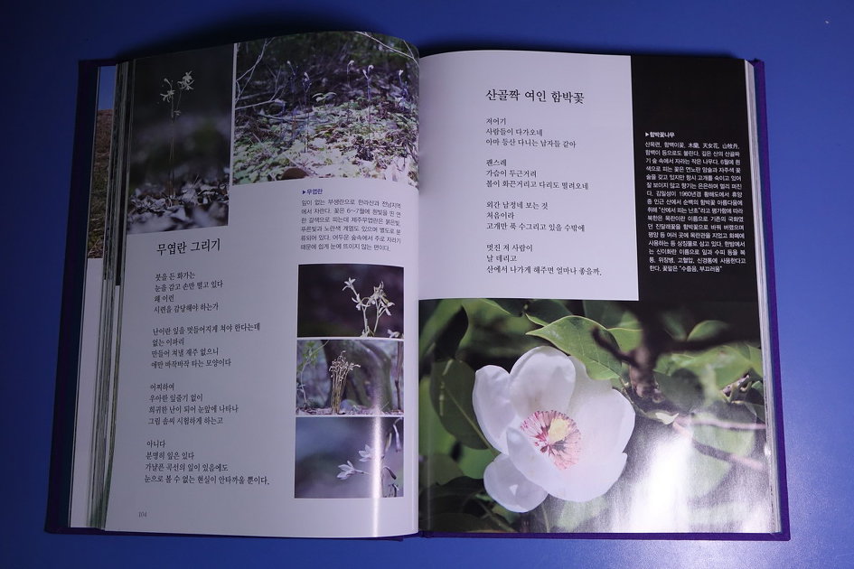 제주도 야생화 시집을 펴내며