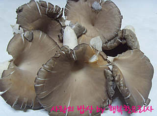 더블클릭을 하시면 이미지를 수정할 수 있습니다