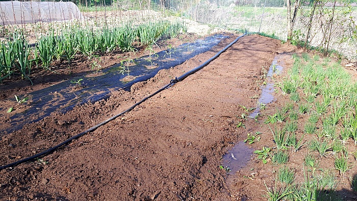 2018년의 4월의 농사일기