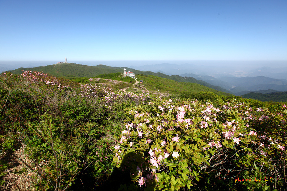 소백산 철쭉 길을 걷다..2018.5.26