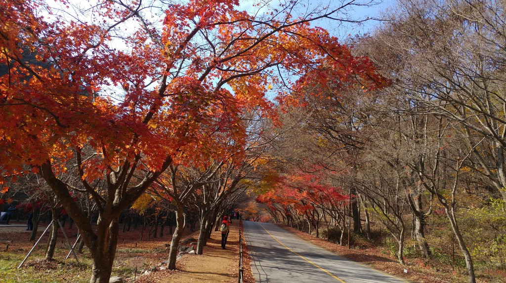 내장산