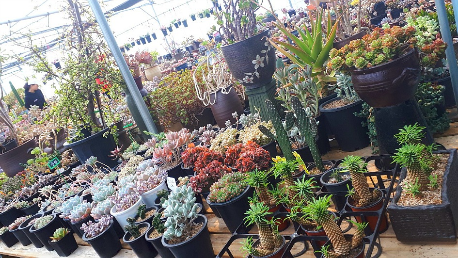 삼익꽃 화원을 다녀오다