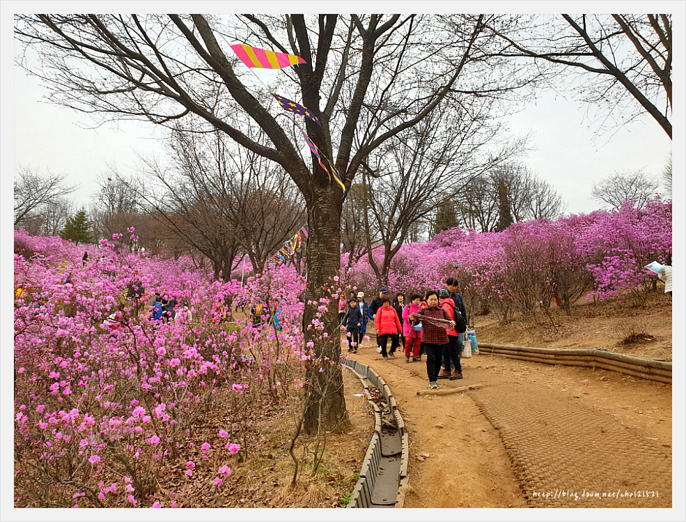 부천 원미산 진달래축제를 가다 ^^