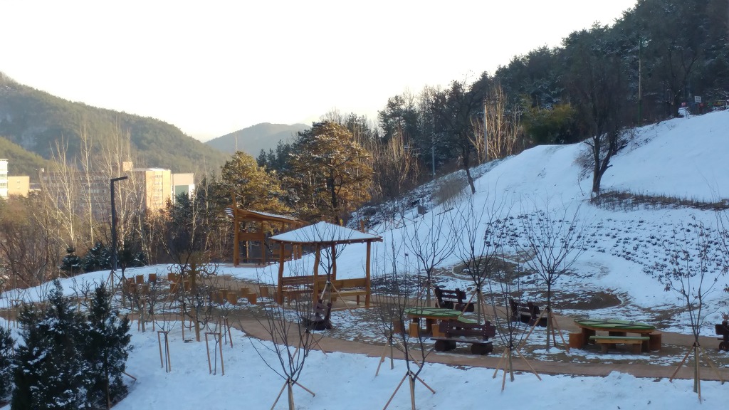 눈온후에 에코랜드